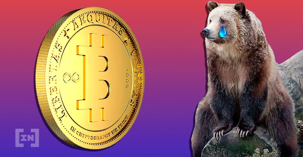 ¿Estuvo Realmente Bitcoin En Un Mercado Bajista?