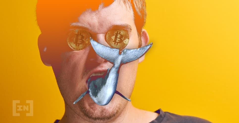 Ballena mueve $1.16 mil millones en BTC, la transacción más grande de la historia