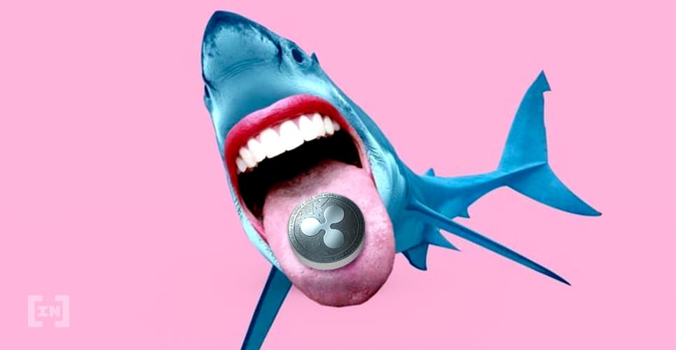 Análisis de Precio XRP: Divergencia Alcista Sugiere Un Posible Quiebre Para XRP/BTC