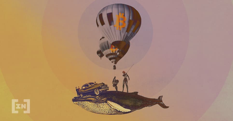 Grandes Cantidades de Bitcoin Se Movieron Una Hora Antes del Desplome