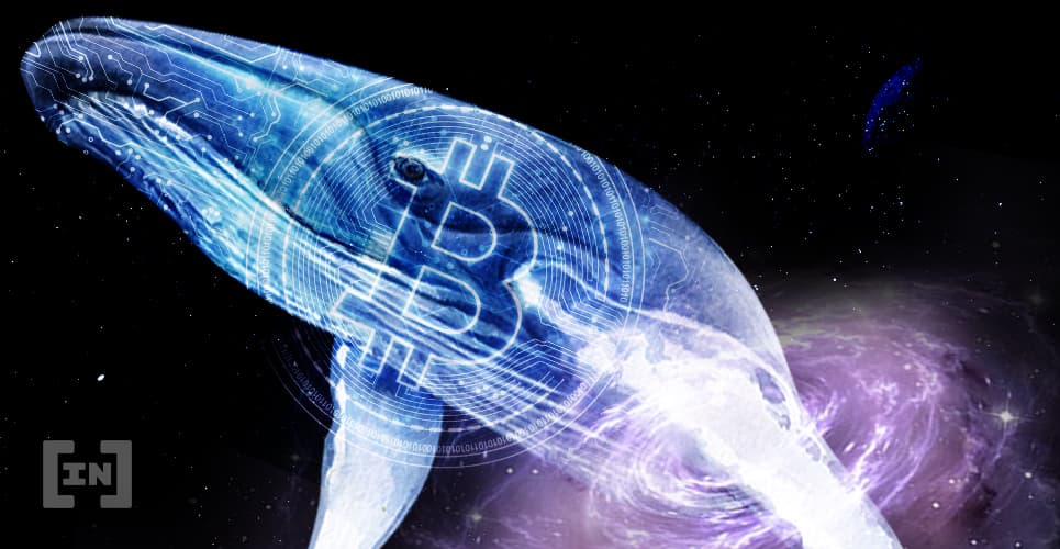 El aumento de 3000 dólares en el precio de Bitcoin podría ser manipulación de las ballenas