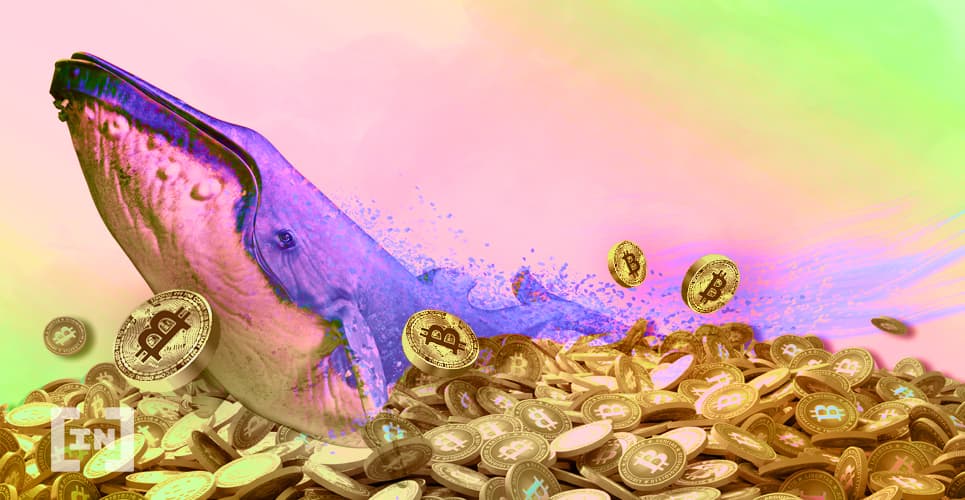 Ballena de Bitcoin mueve 5,000 BTC desde un monedero inactivo desde hace 7 años