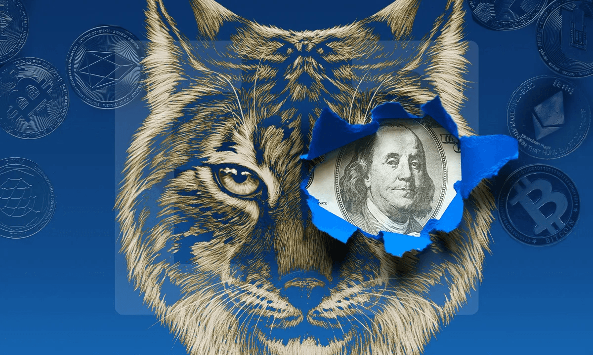 Wildcat banks: La ley Stable limitará al mercado cripto ¿Se repetirá la historia?