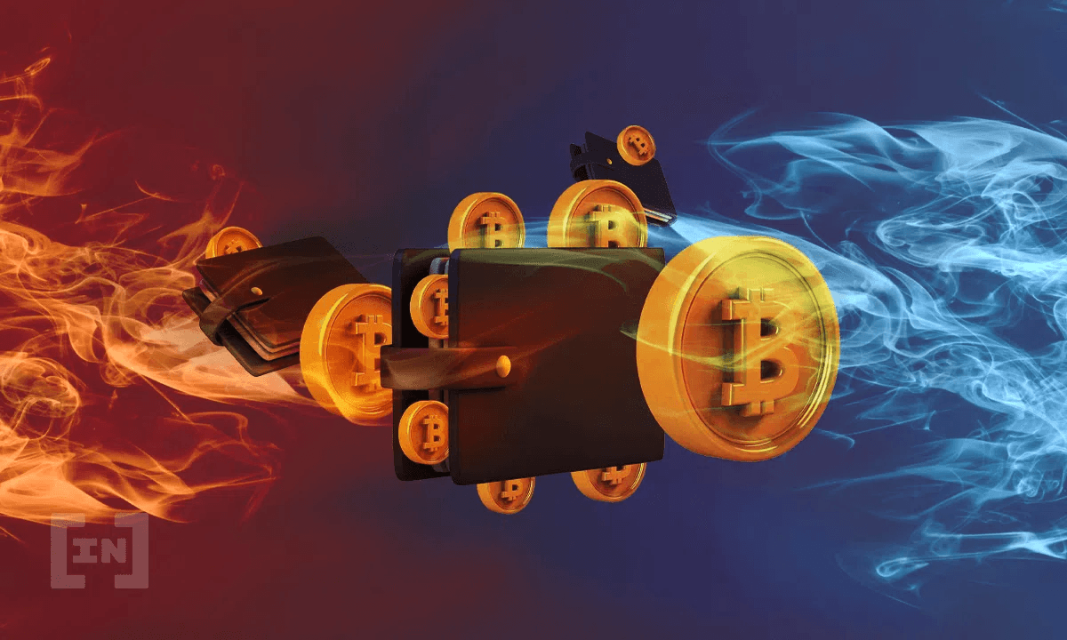 Hot Wallets vs. Cold Wallets ¿En qué se diferencian y para qué sirven?