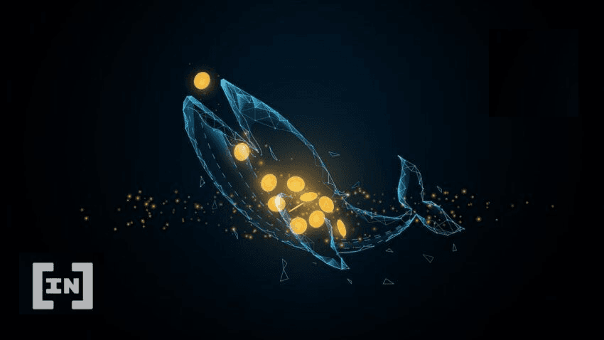 Ballenas compran $386,000 millones en SHIB a pesar del bear market