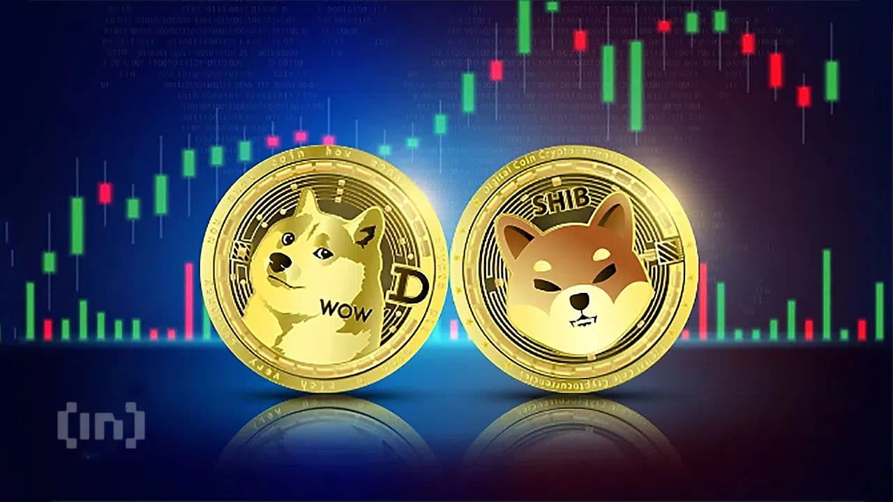 Shiba Inu (SHIB) vs. Dogecoin (DOGE): ¿Cuál tendrá un mejor rally alcista?