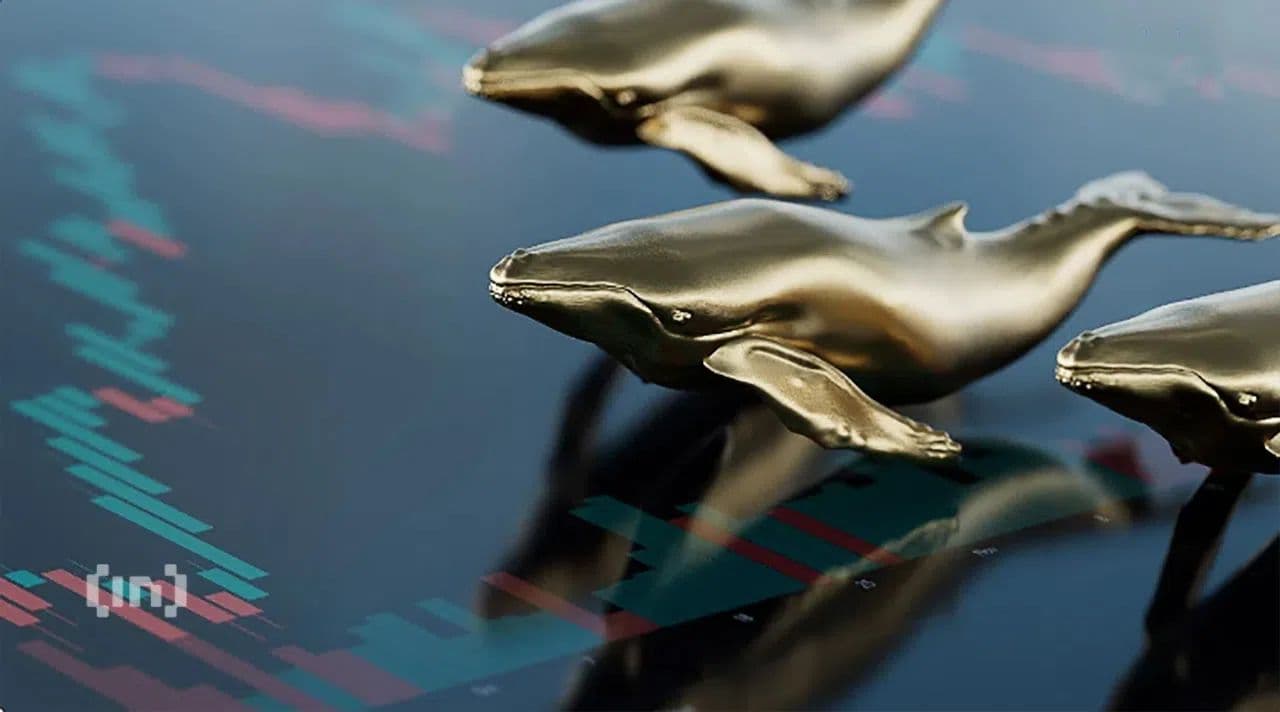 España: Puerto Celeiro usará blockchain para certificar pesca sostenible de merluzas