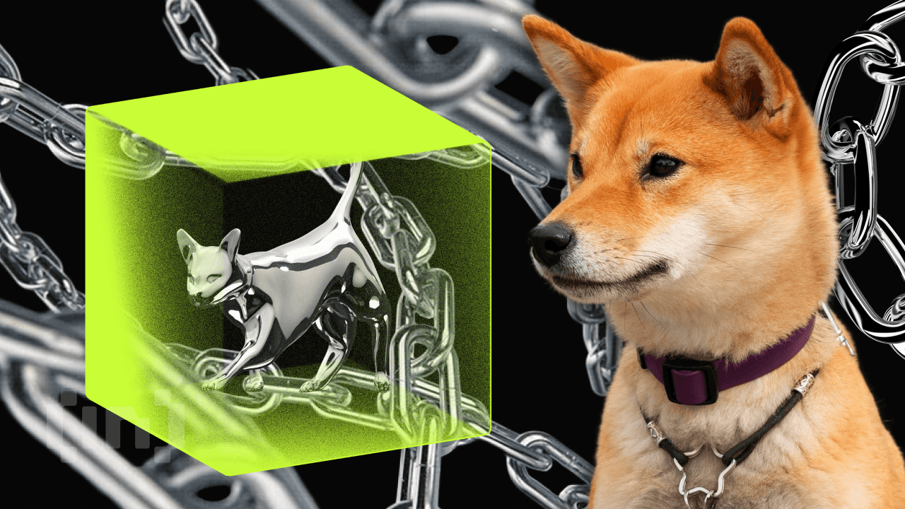 Denuncian cuenta falsa del creador de Shiba Inu (SHIB) utilizada para realizar estafa de phishing