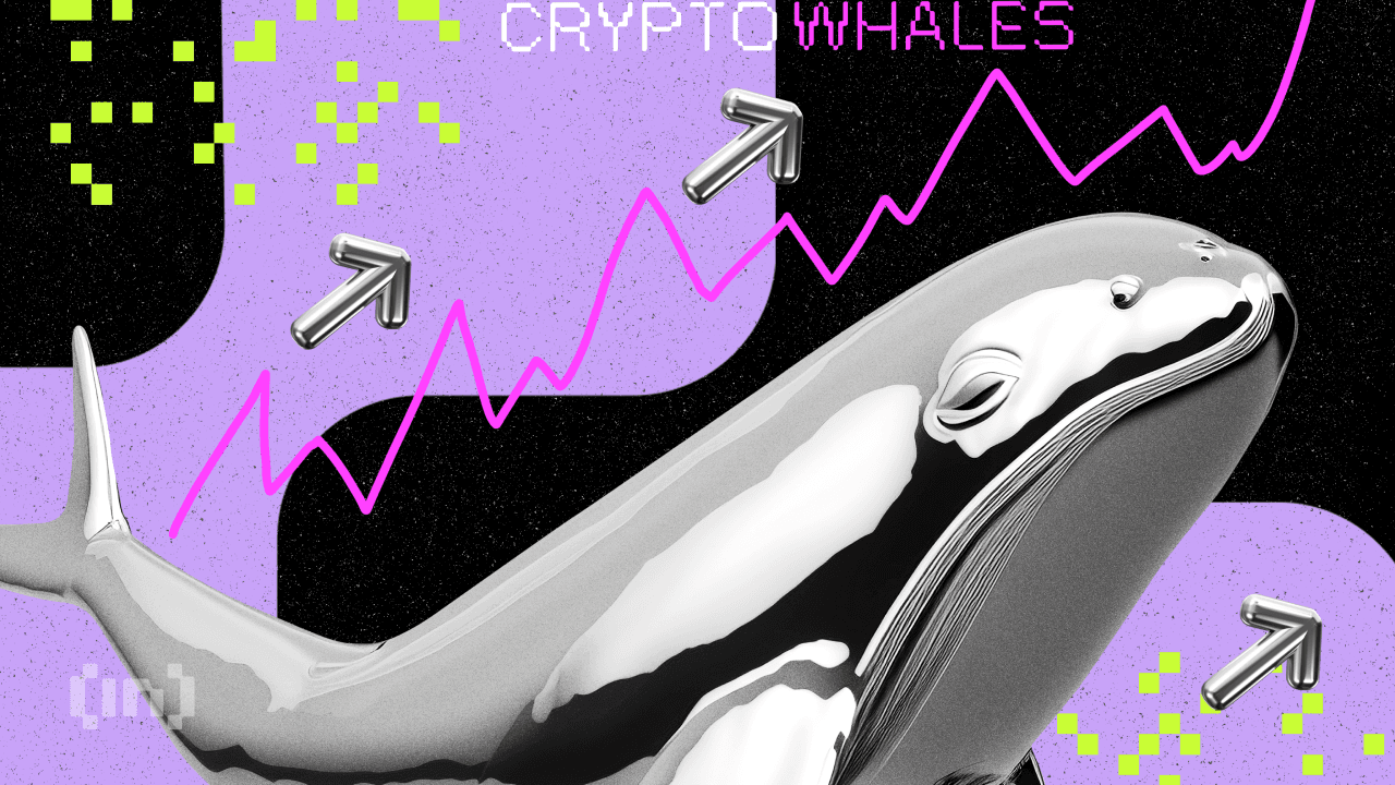 ¿Cuáles criptomonedas están comprando las ballenas para el mes de agosto de 2023?