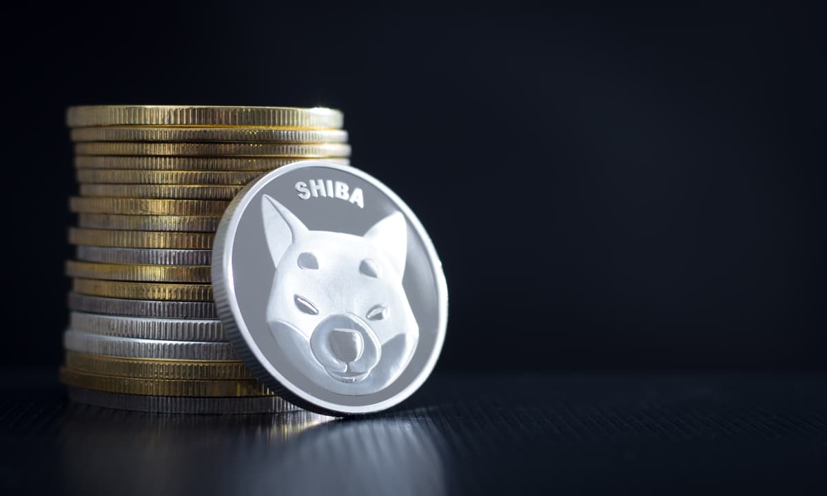 ¿Es tarde para comprar Shiba Inu y PEPE? En su lugar, inversores apuestan por una nueva criptomoneda meme
