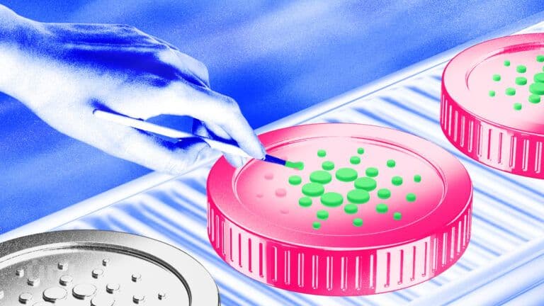 Cardano implementa su nuevo sistema de gobernanza descentralizada