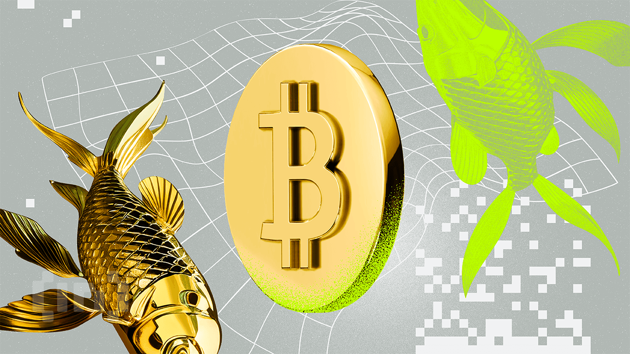 Bitcoin vs. Oro: ¿Cuál es la mejor inversión en 2025?