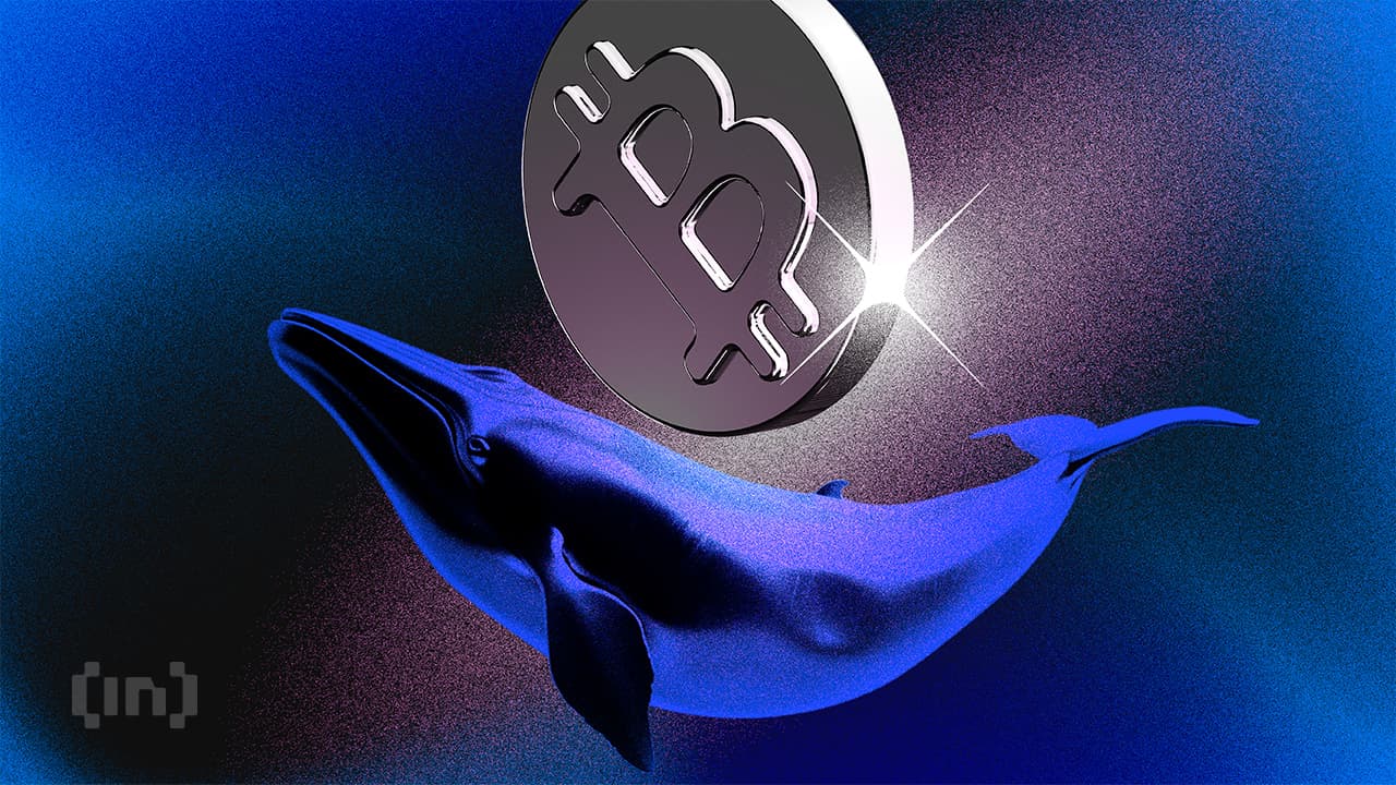 Monedero de ballena de Bitcoin inactivo desde 2016 mueve 3,000 BTC