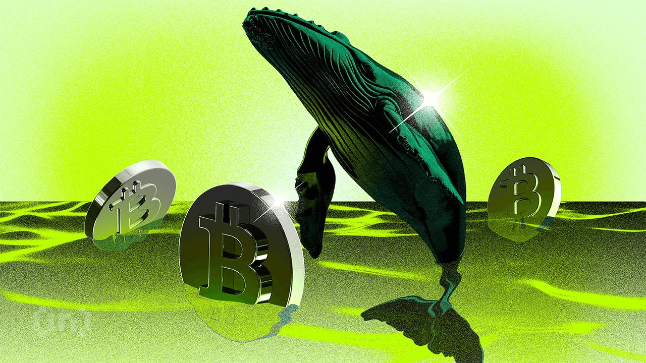 Dos monederos de la era Satoshi mueven 20,000 Bitcoin tras 14 años de inactividad