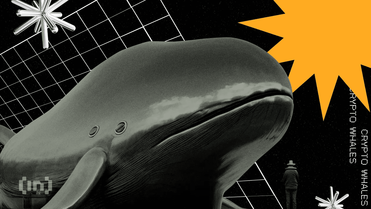 Ballenas compran más de $1 mil millones en XRP: ¿Se cocina un nuevo máximo histórico?