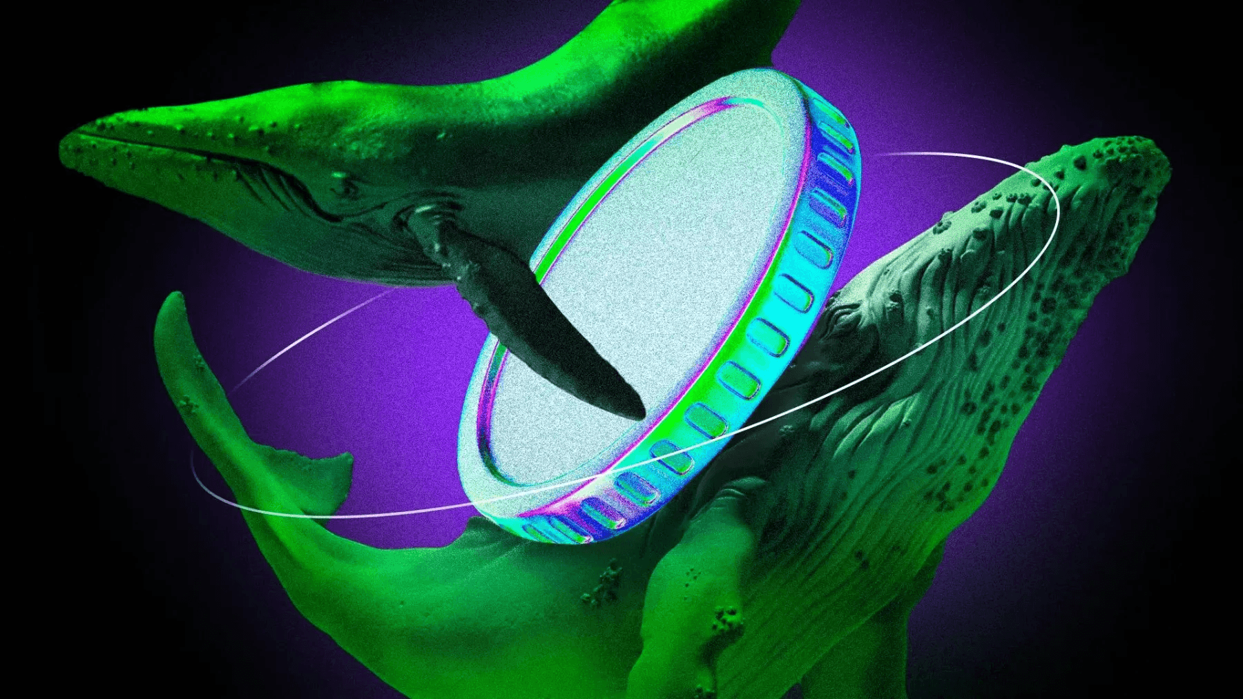 ¿Cuáles criptomonedas compraron las ballenas para septiembre de 2025?