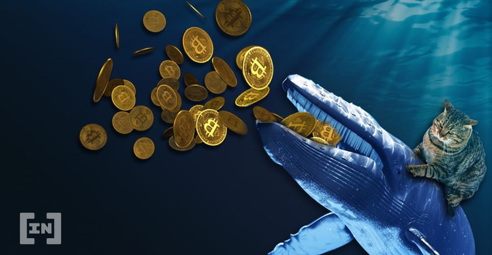 Una ballena de Bitcoin ha enviado casi 20.000 bitcoins a numerosas carteras
