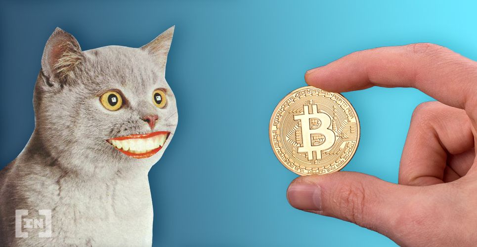 Inversores de Bitcoin Sufren Con la Corrección del Mercado
