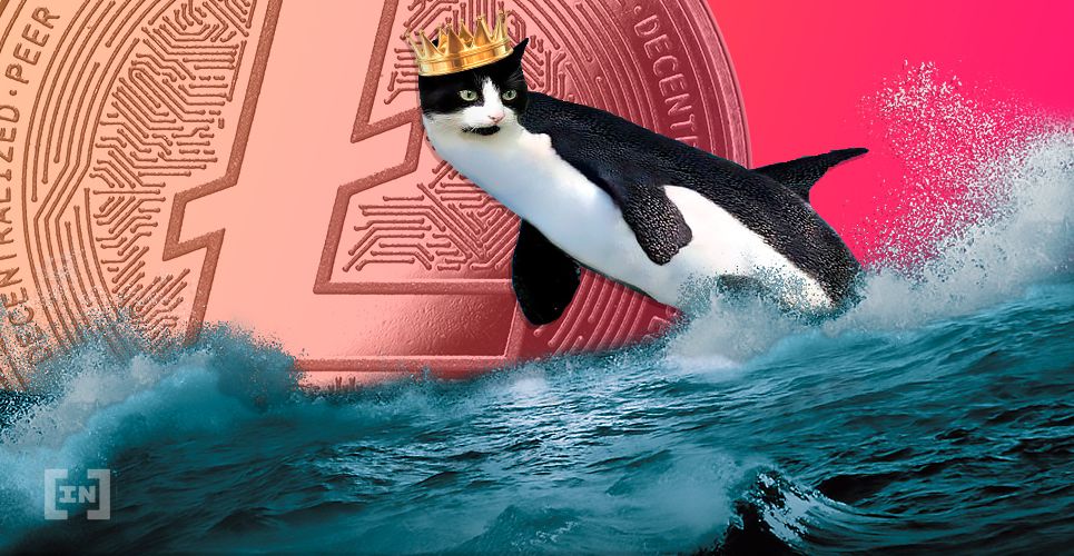 Litecoin Es Ahora la Criptomoneda Oficial de los Miami Dolphins