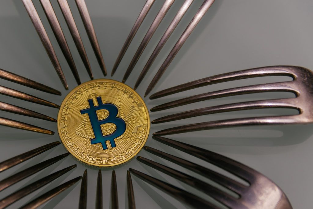 ¿Los Bitcoin forks son la razón que empuja al precio subir en 2020?