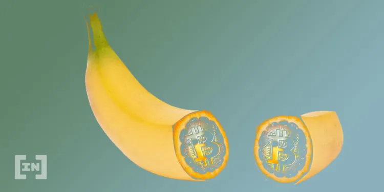 El derivado de Nano, Banano (BAN) busca ganar popularidad en TikTok