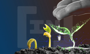 Blockchain puede fusionar los créditos de carbono y los seguros climáticos