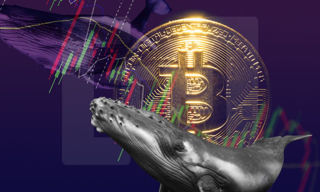 La cantidad de Bitcoin (BTC) en poder de ballenas alcanza un mínimo de tres años