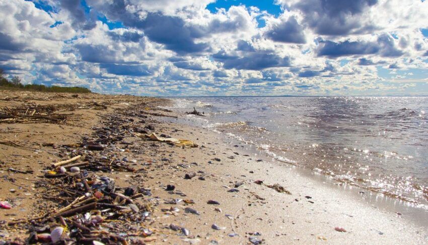 Playa Uruguay plásticos