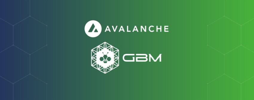 GBM elige desarrollar una subnet en Avalanche por ser la red más sustentable