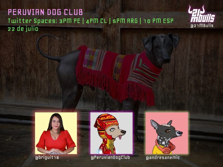 Peruvian Dog Club Twitter Spaces 21MBulls