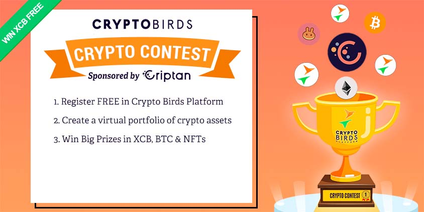 Nuevo Concurso de Portafolios Virtuales de Crypto Birds con Premios en Bitcoin, XCB y NFTs