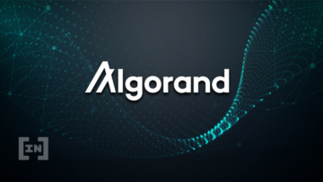 La Fundación Algorand revela una exposición de $35 millones en Hodlnaut