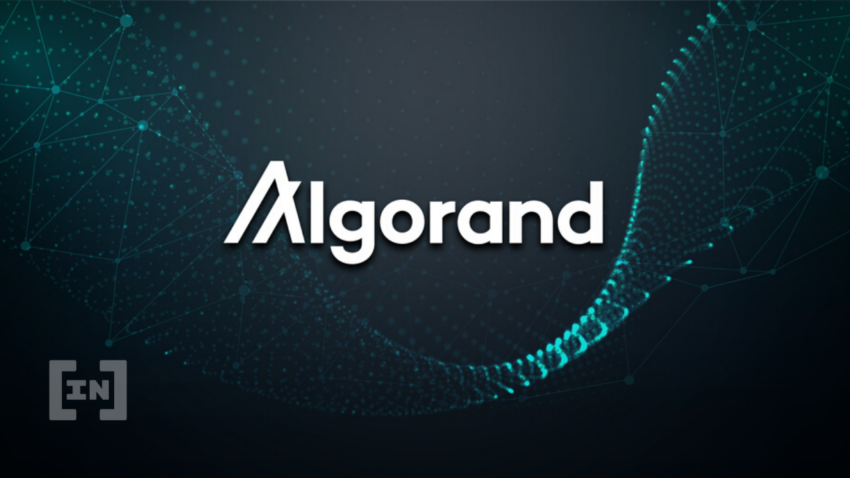 La Fundación Algorand revela una exposición de $35 millones en Hodlnaut