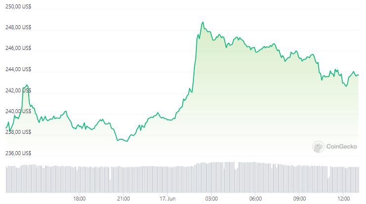 Precio Binance Coin BNB - 24 horas
