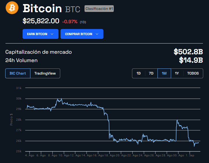 Precio de Bitcoin - 1 mes