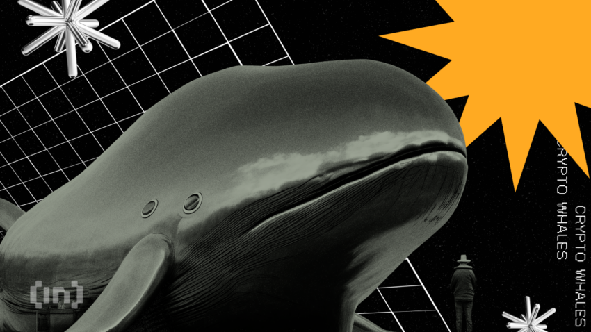 Buy the dip: Top criptomonedas que acumularon las ballenas durante el crash del mercado