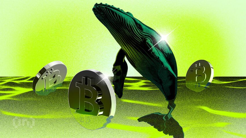 Tras compra de $6,2 mil millones por parte de ballenas ¿Llegará Bitcoin a los $57,000?