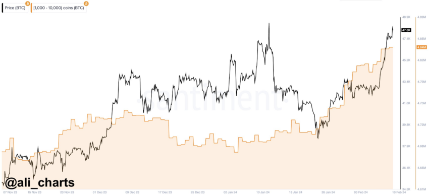 Las ballenas Bitcoin han comprado 140.000 BTC en las últimas tres semanas