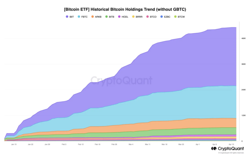 Tenencias históricas de ETF de Bitcoin. 