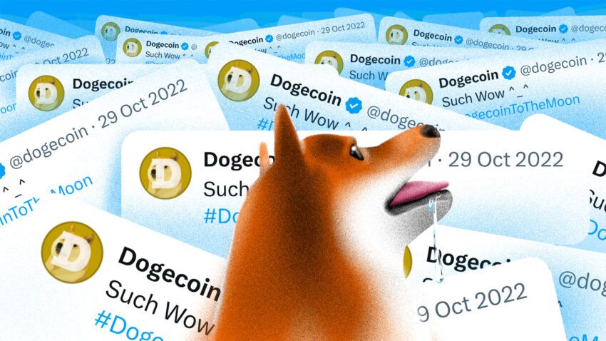 DogeChain cesa operaciones: Retire sus tokens Dogecoin (DOGE) ahora